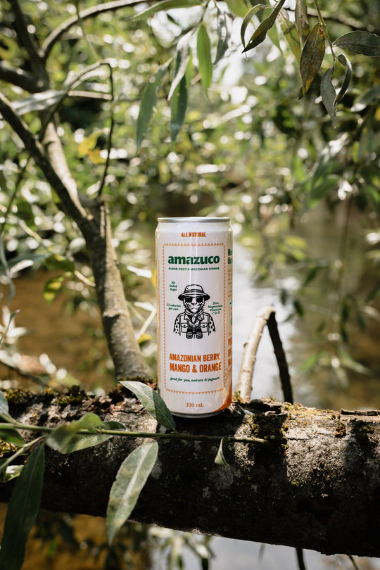 Amazonian Berry + Mango & Orange - 12x pack